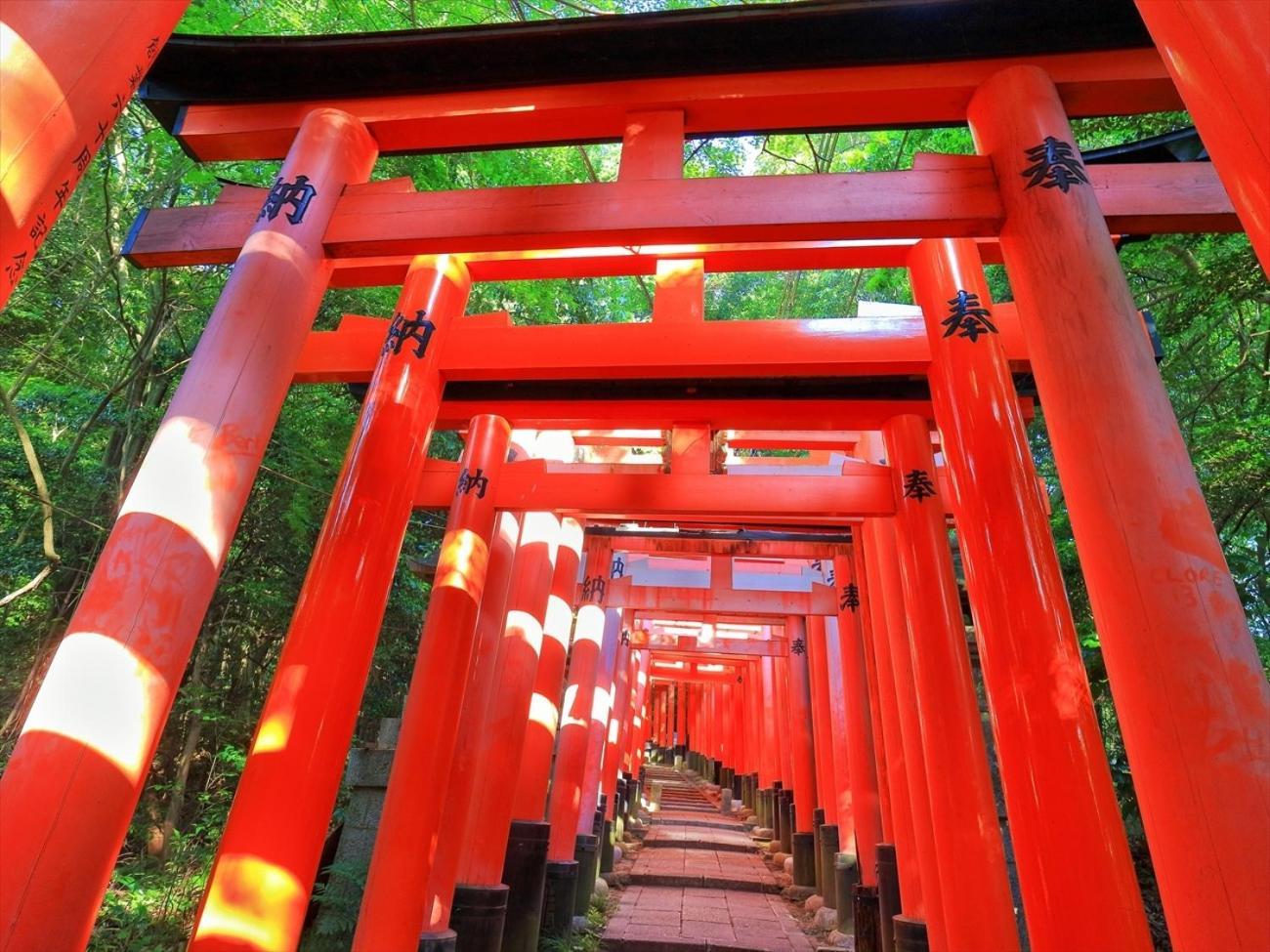 Giappo Franca Kyoto