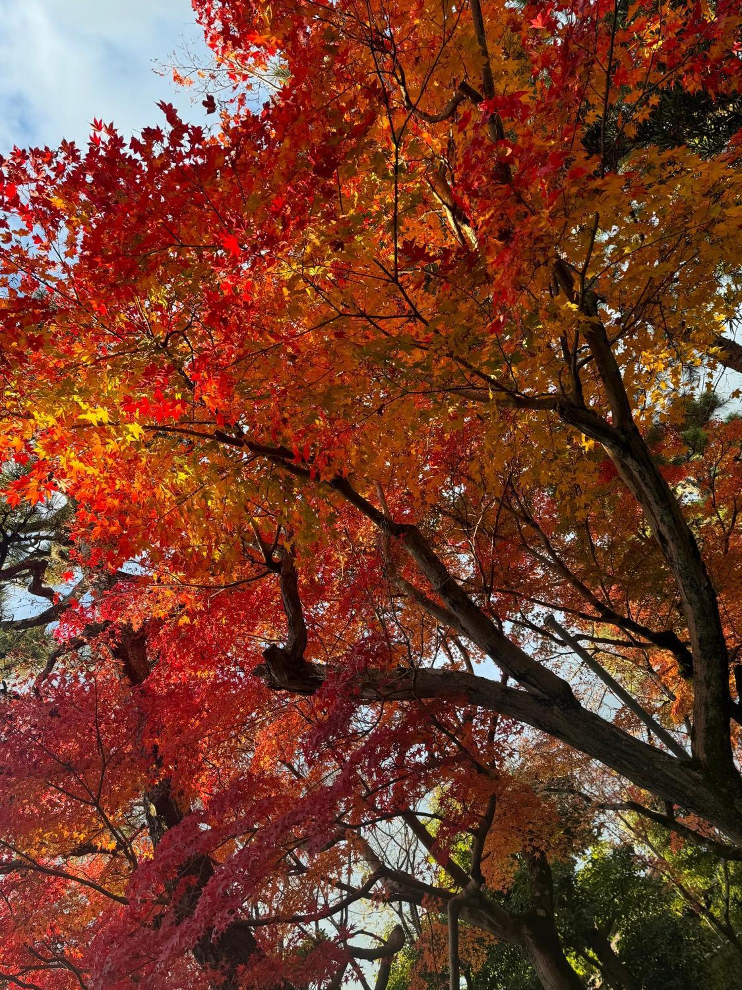 Holiday home 京町家-椿庵kyomachiya-tsubakian Kyoto