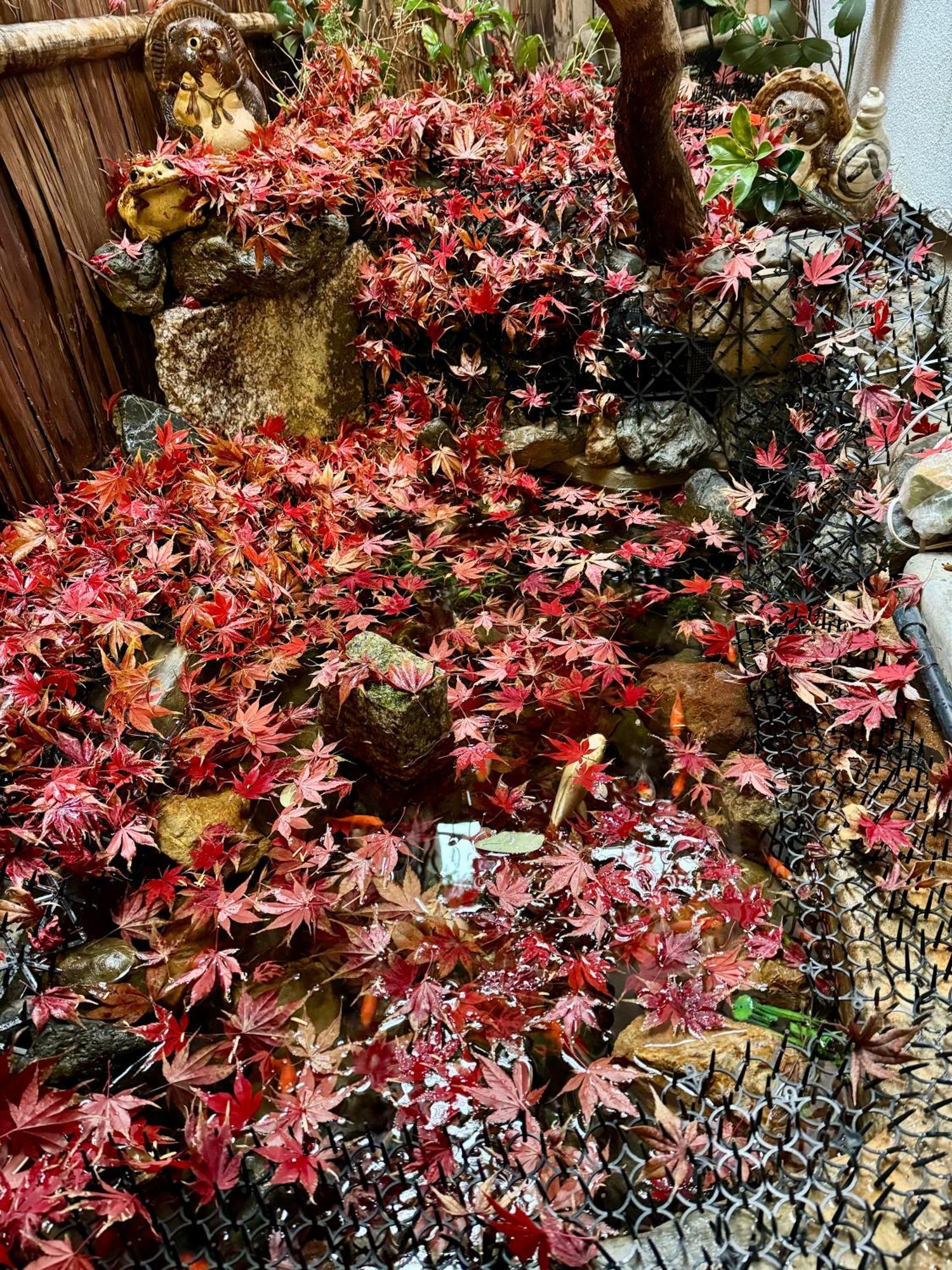 京町家-椿庵kyomachiya-tsubakian *