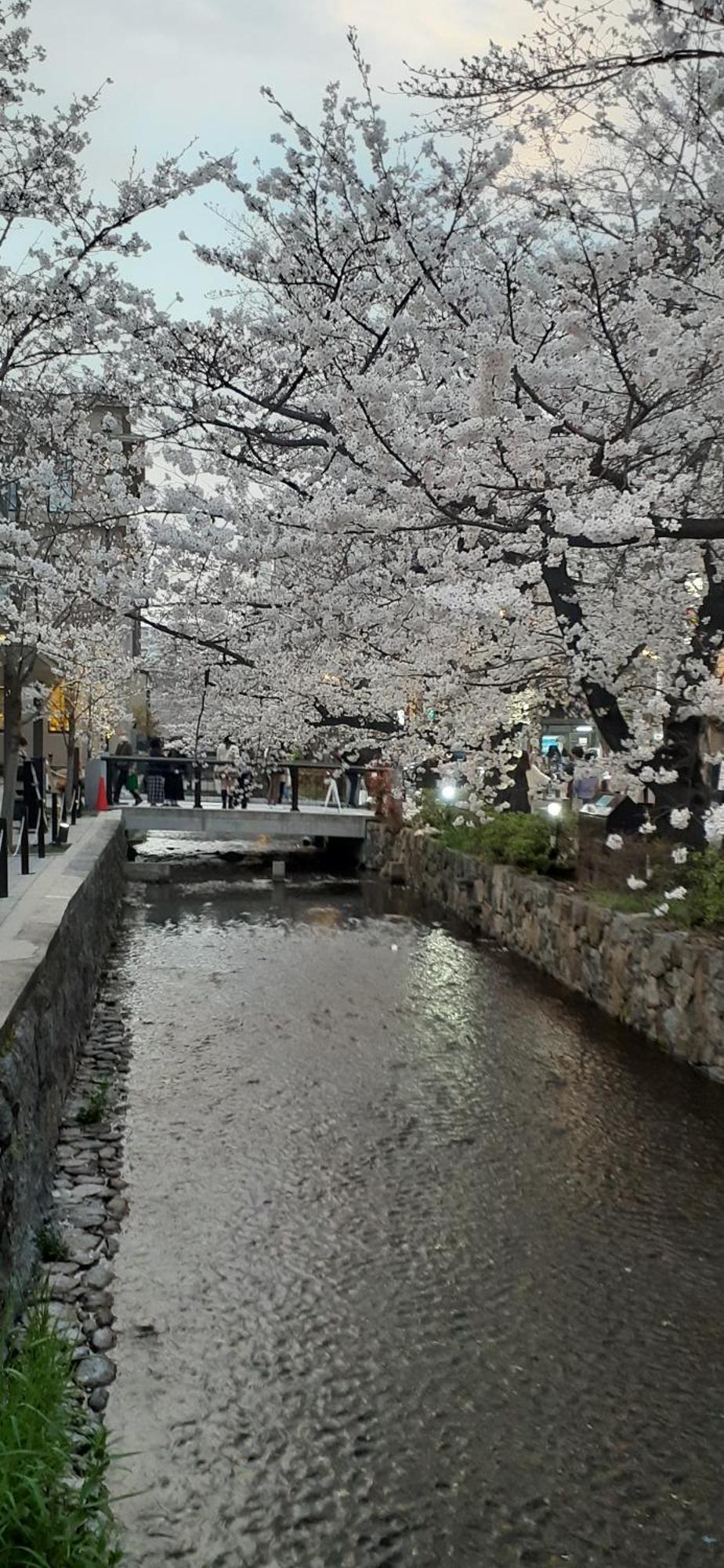 Hotel Izutsu Takasegawa Kyoto