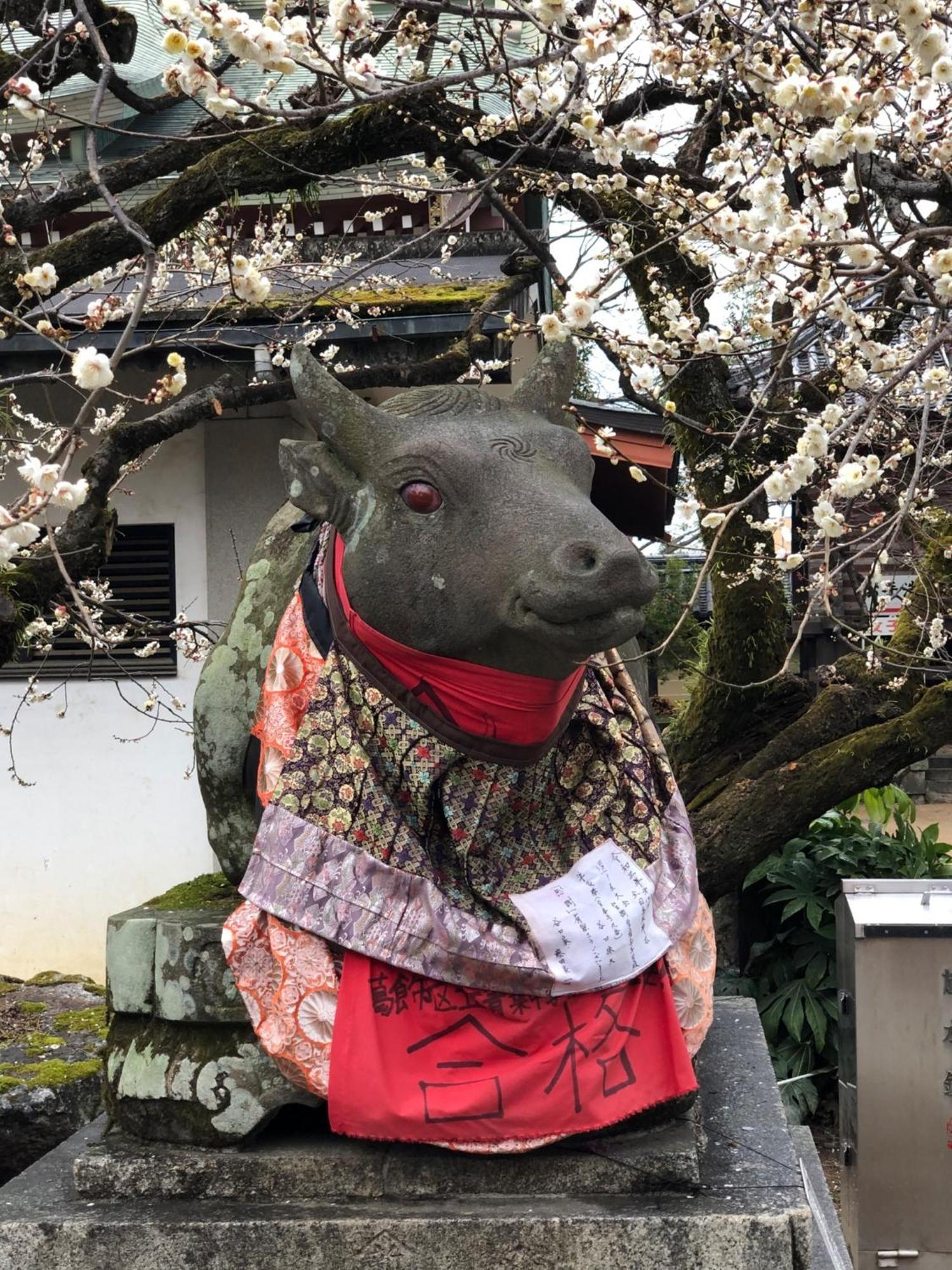 Tsubakian / / Vacation 65291 Holiday home Kyoto