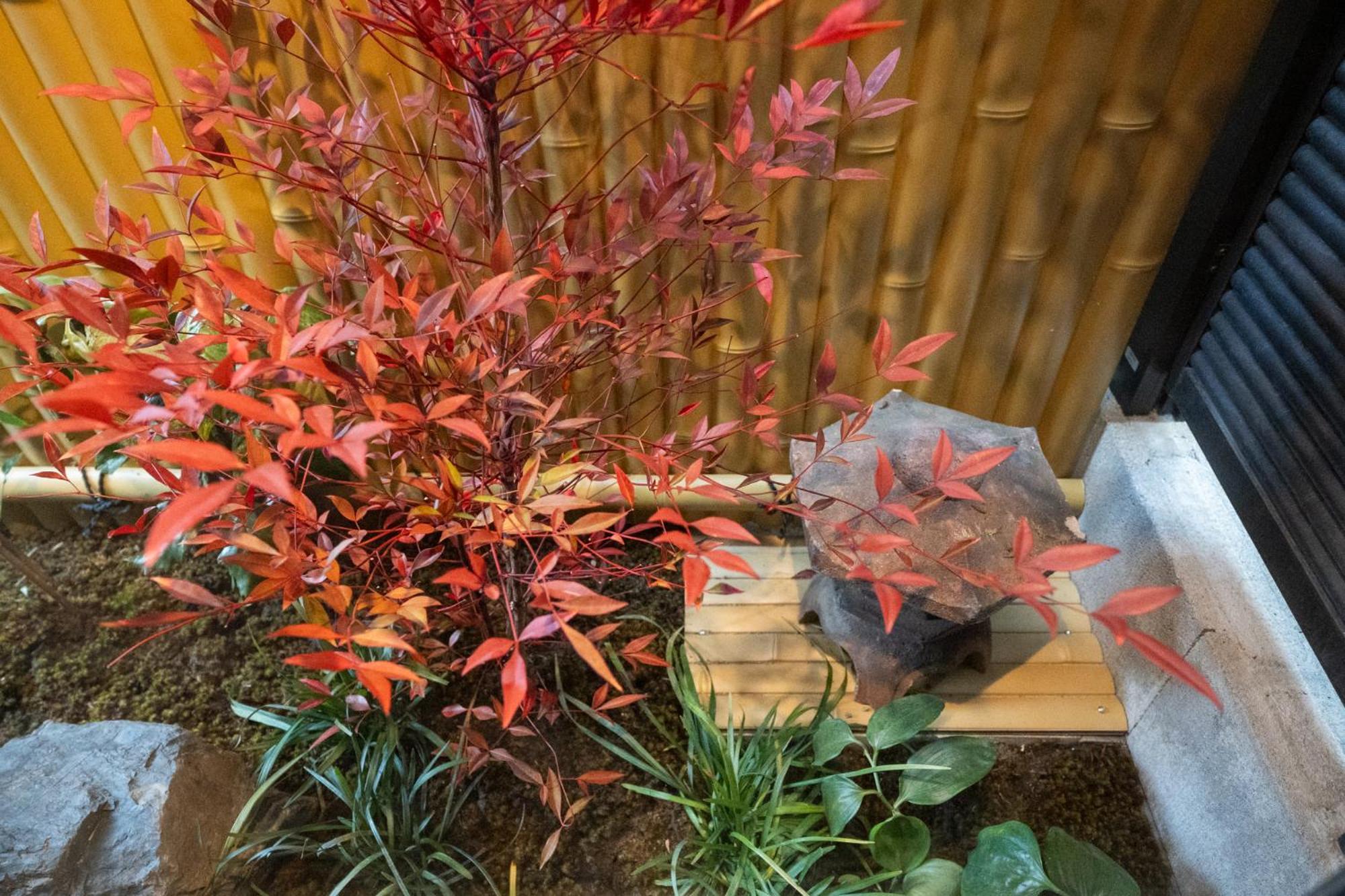 東雲庵/shinonomean * Kyoto