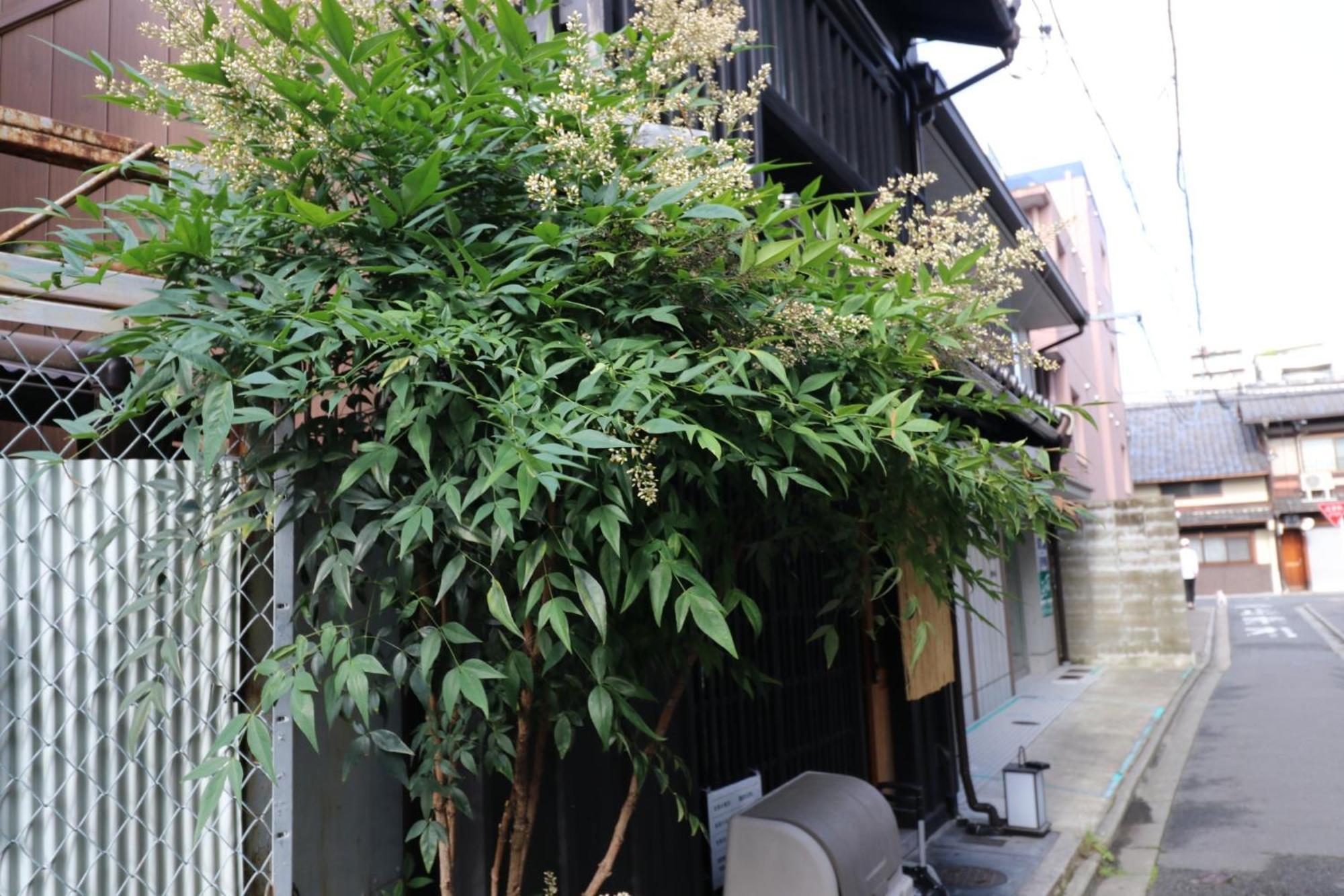 Holiday home Rakuya Karasuma Gojo - Vacation 13636v Kyoto
