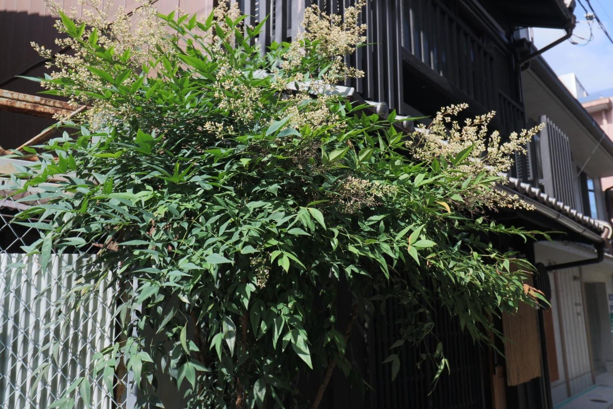 Rakuya Karasuma Gojo - Vacation 13636v Holiday home