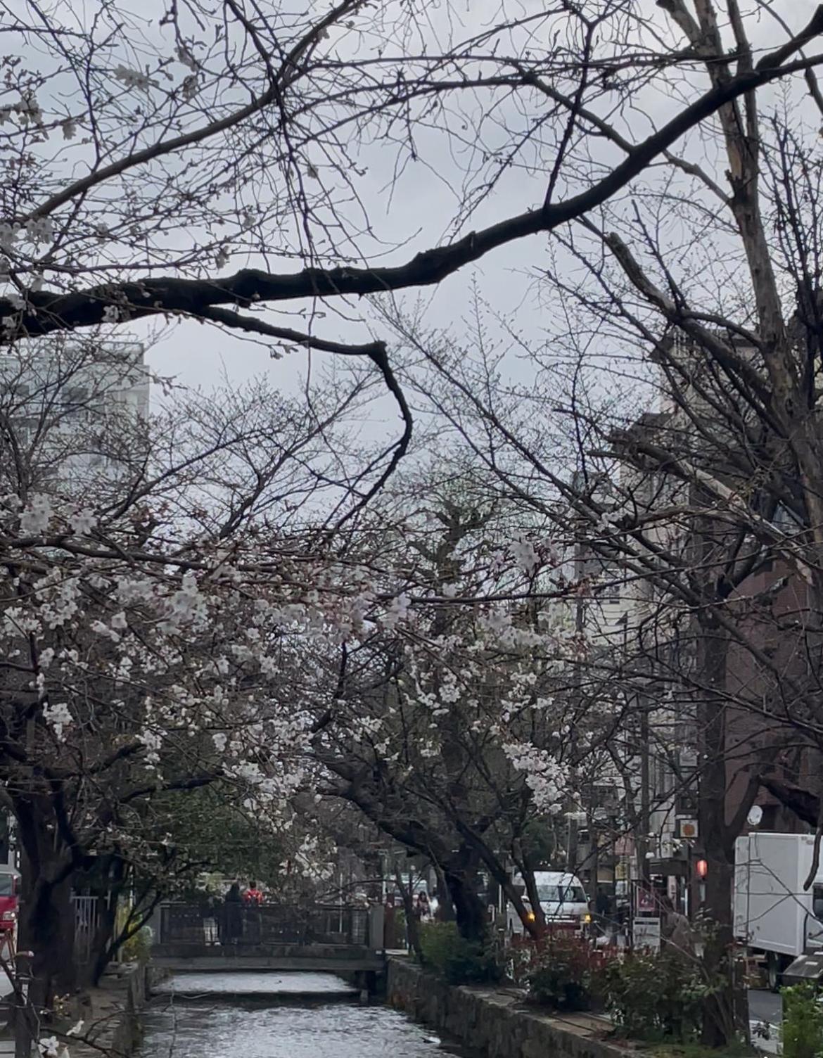 Hotel Izutsu Takasegawa 3*