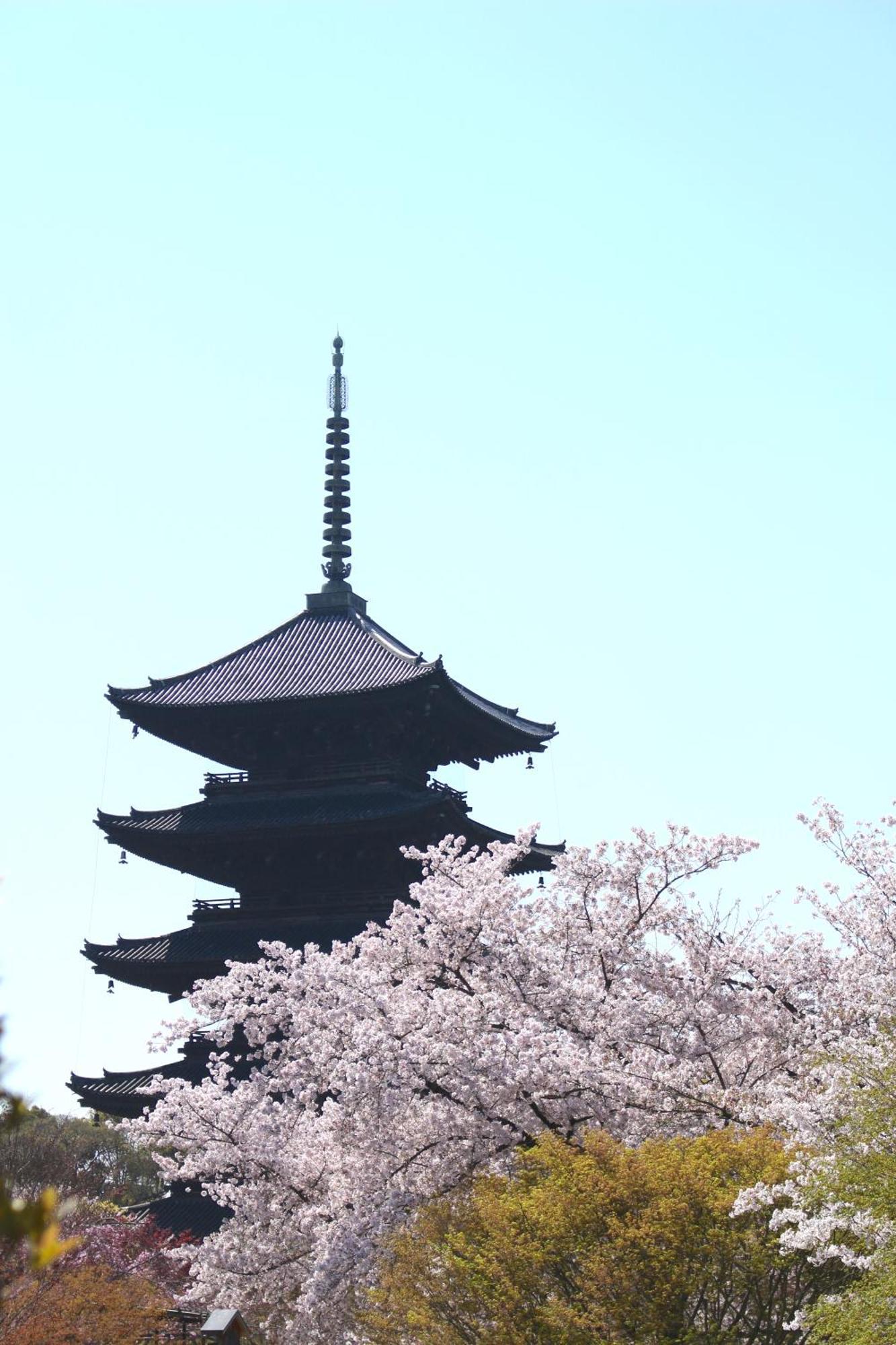 Sakura Tsubaki Aparthotel Kyoto