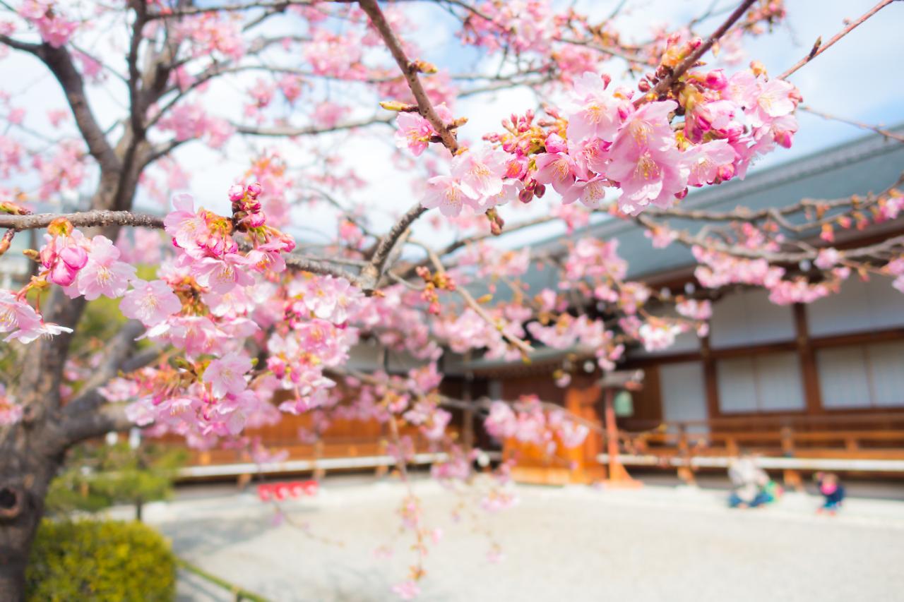 Aparthotel Sakura Shijo Karasuma 3*