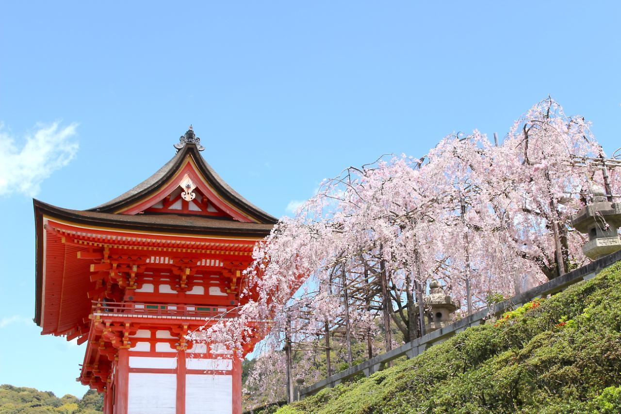 Aparthotel Sakura Shijo Karasuma