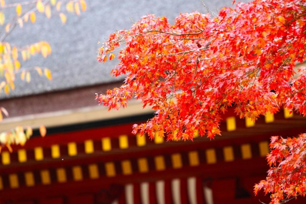 Aparthotel Sakura Shijo Karasuma Kyoto