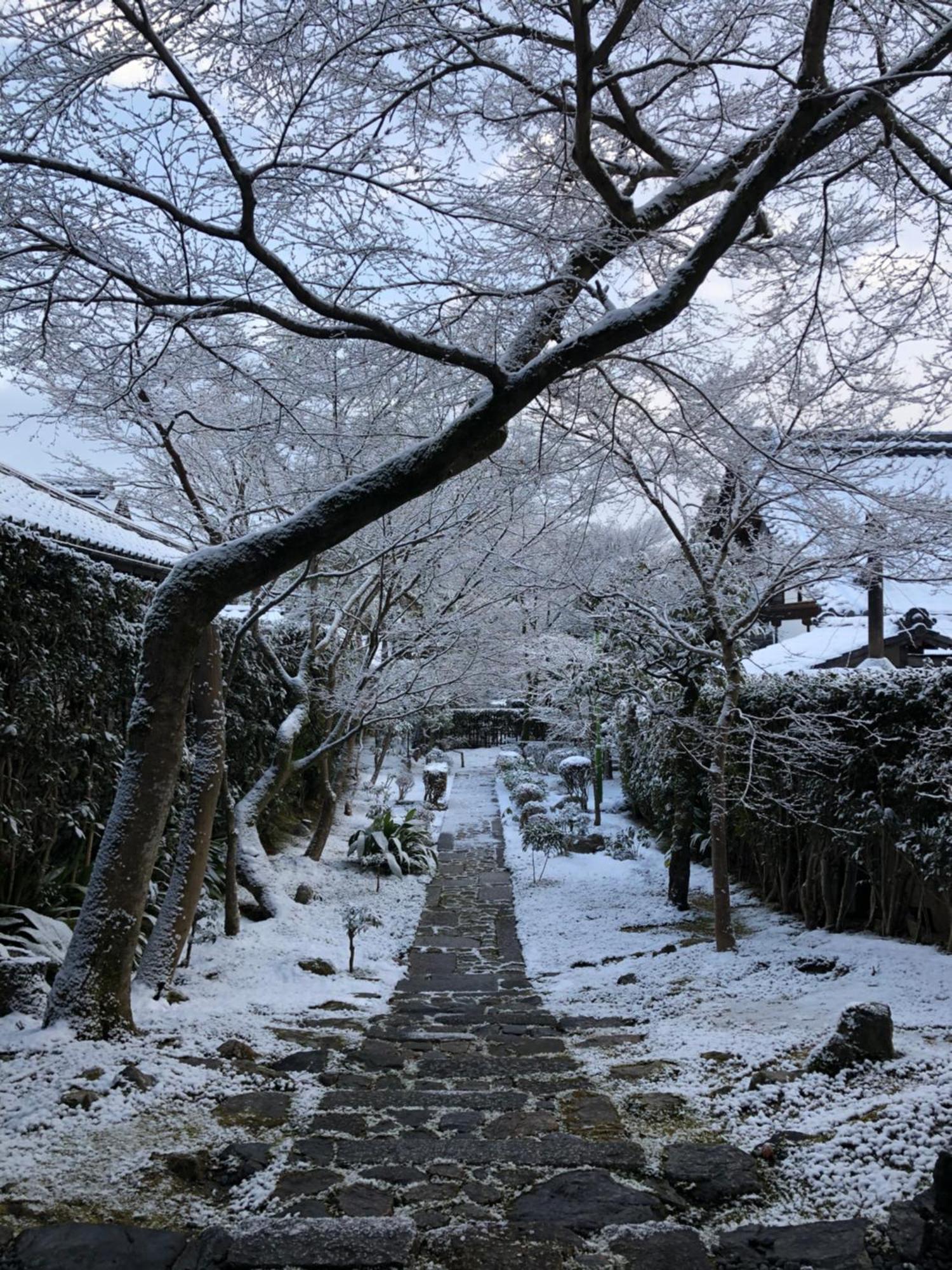 伝心庵 Garden Denshin-an *