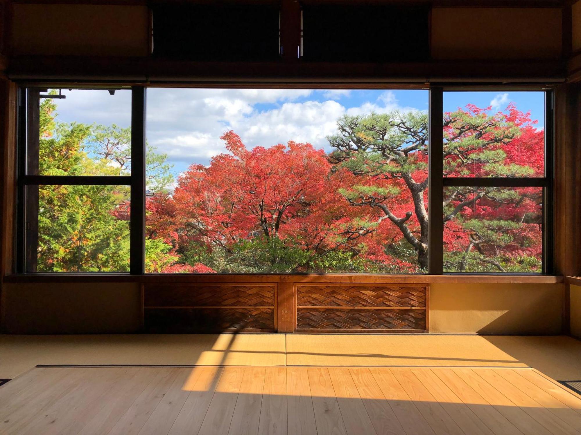 伝心庵 Garden Denshin-an Kyoto