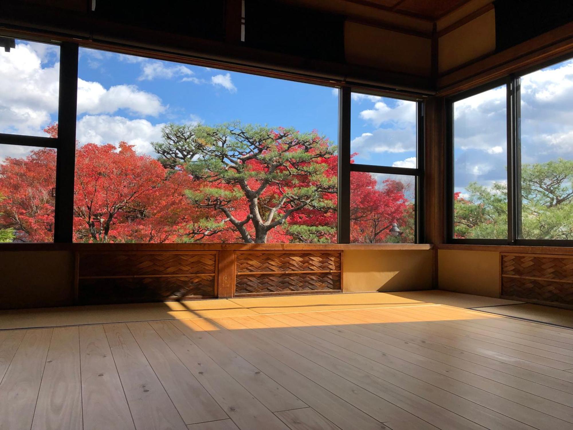 伝心庵 Garden Denshin-an