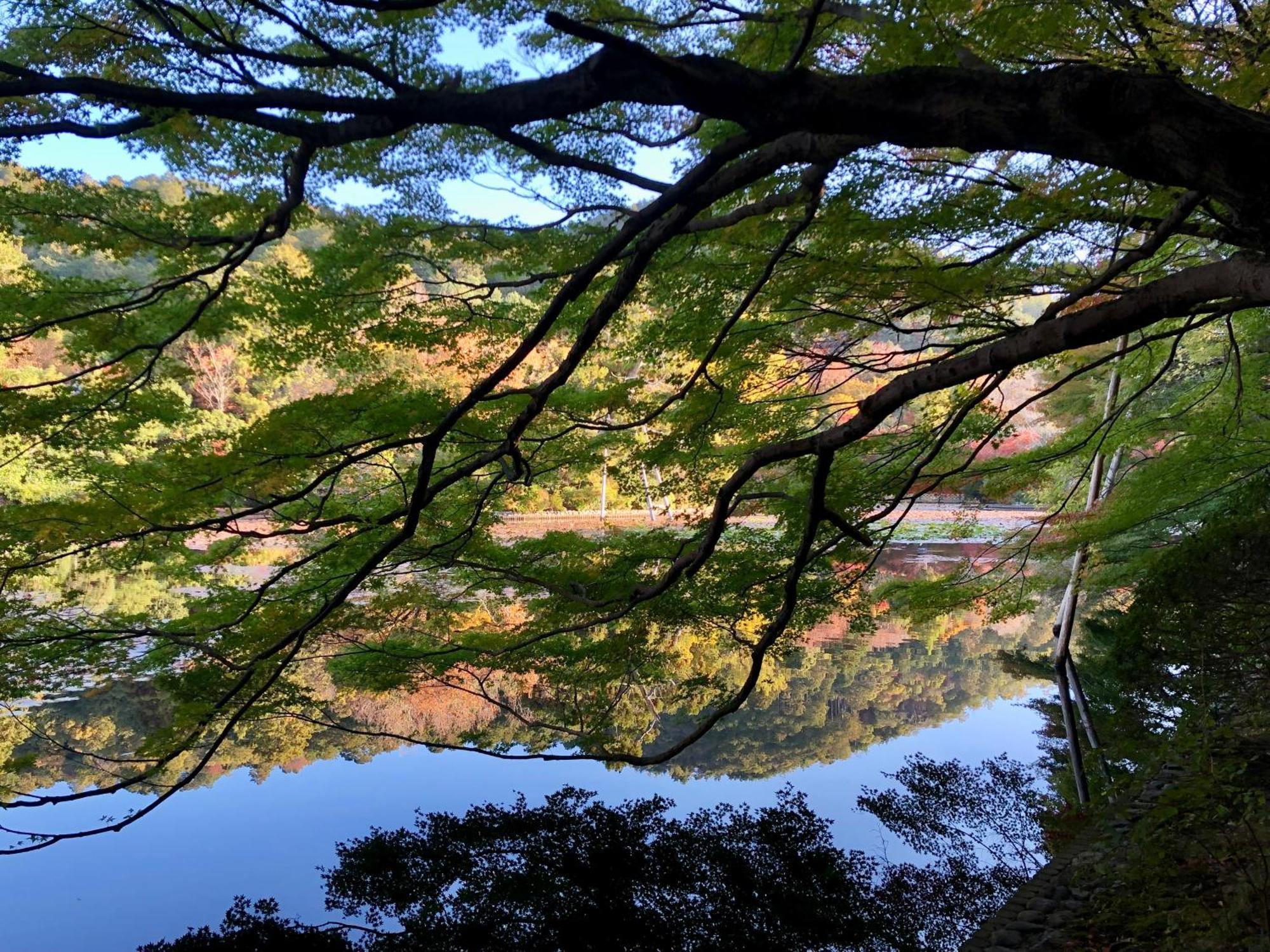 伝心庵 Garden Denshin-an *