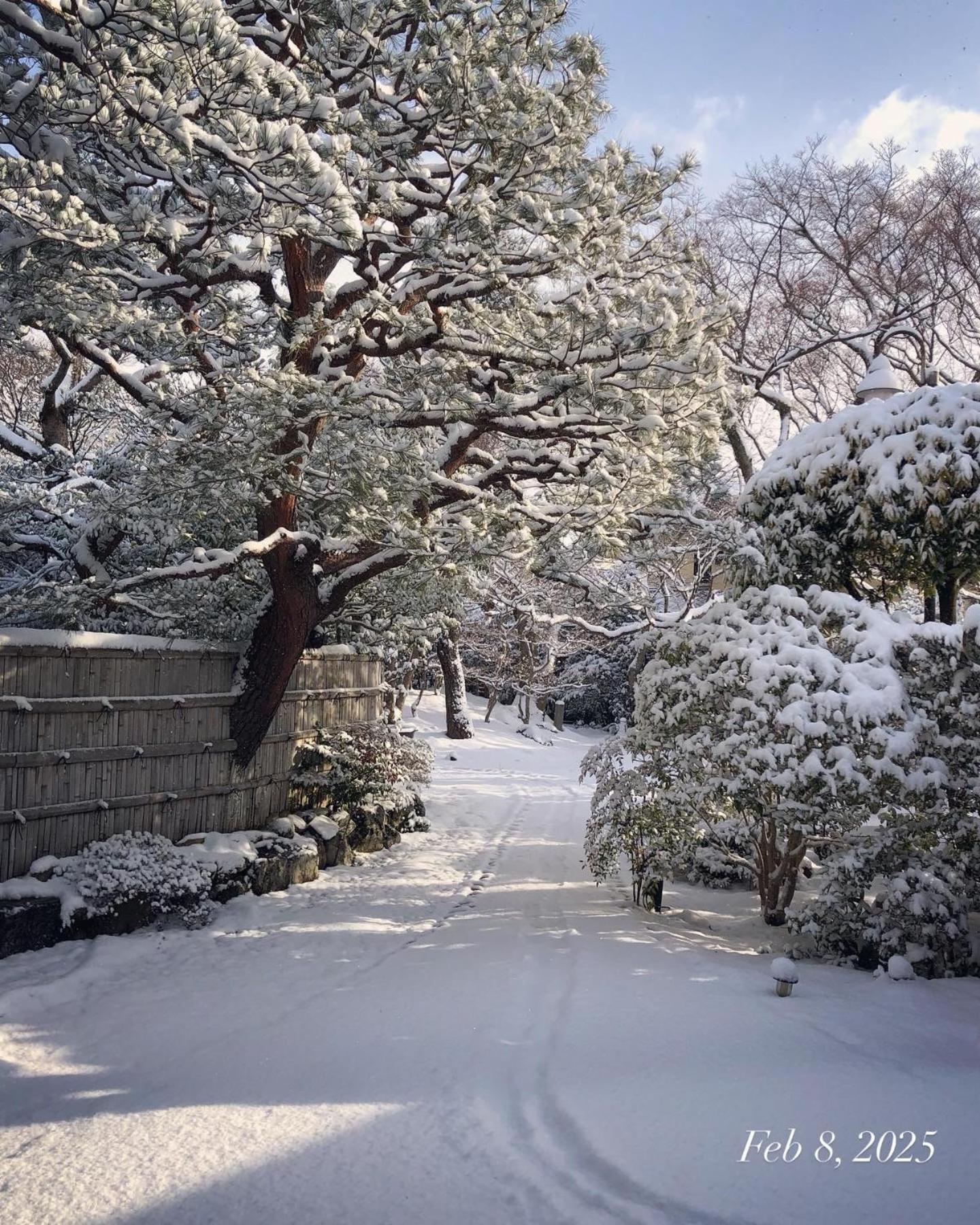 伝心庵 Garden Denshin-an