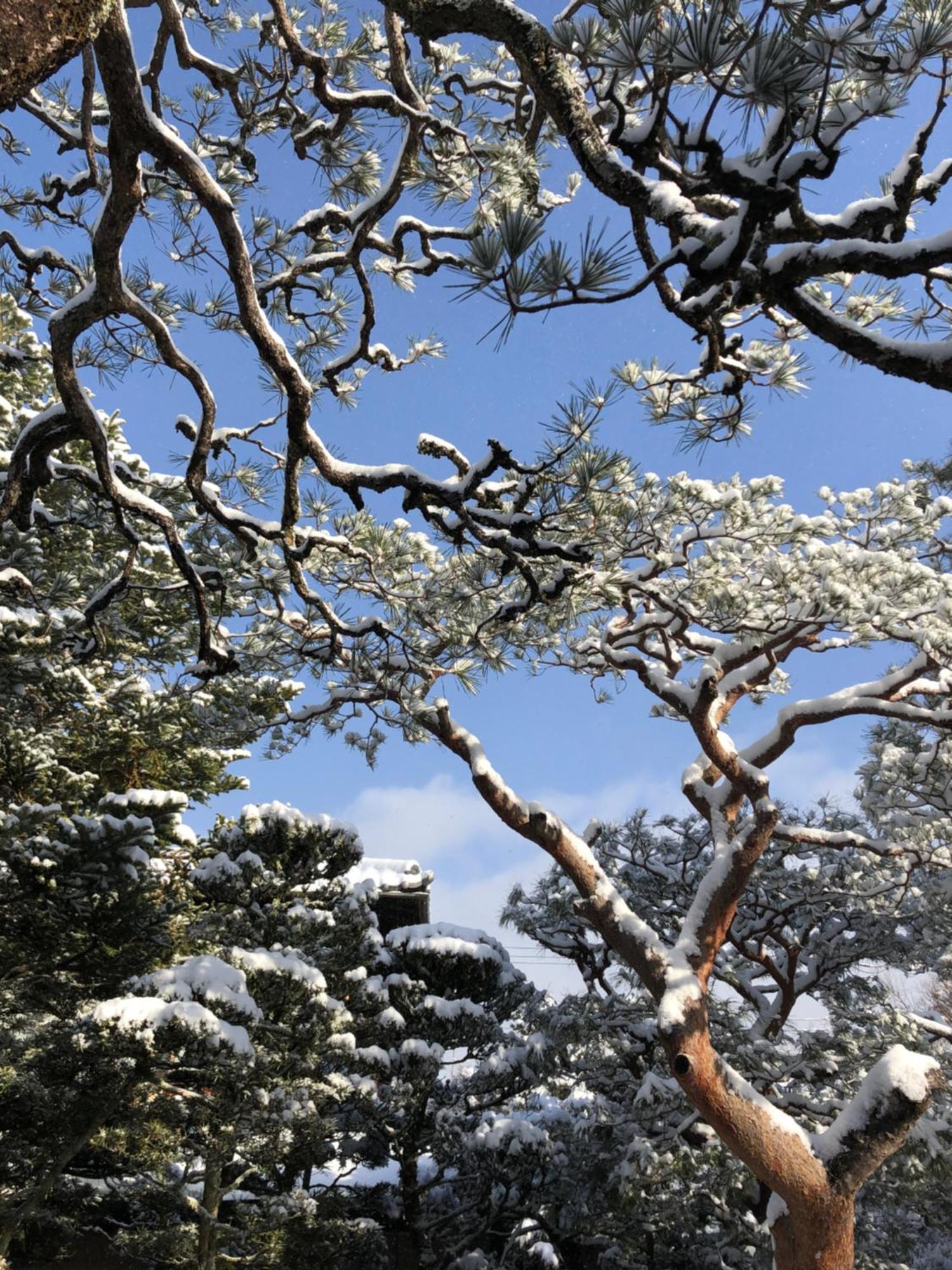 伝心庵 Garden Denshin-an Holiday home
