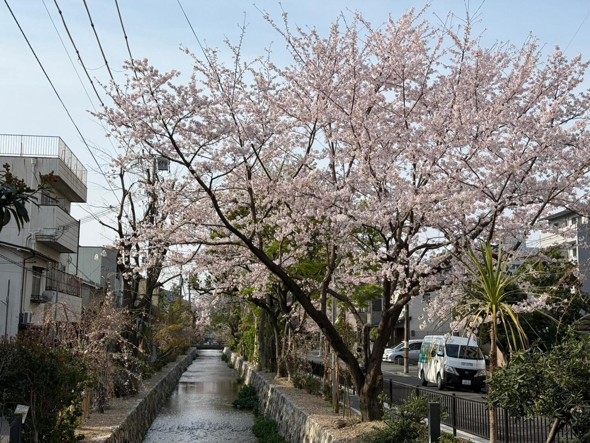 Homestay 初音 Kyoto
