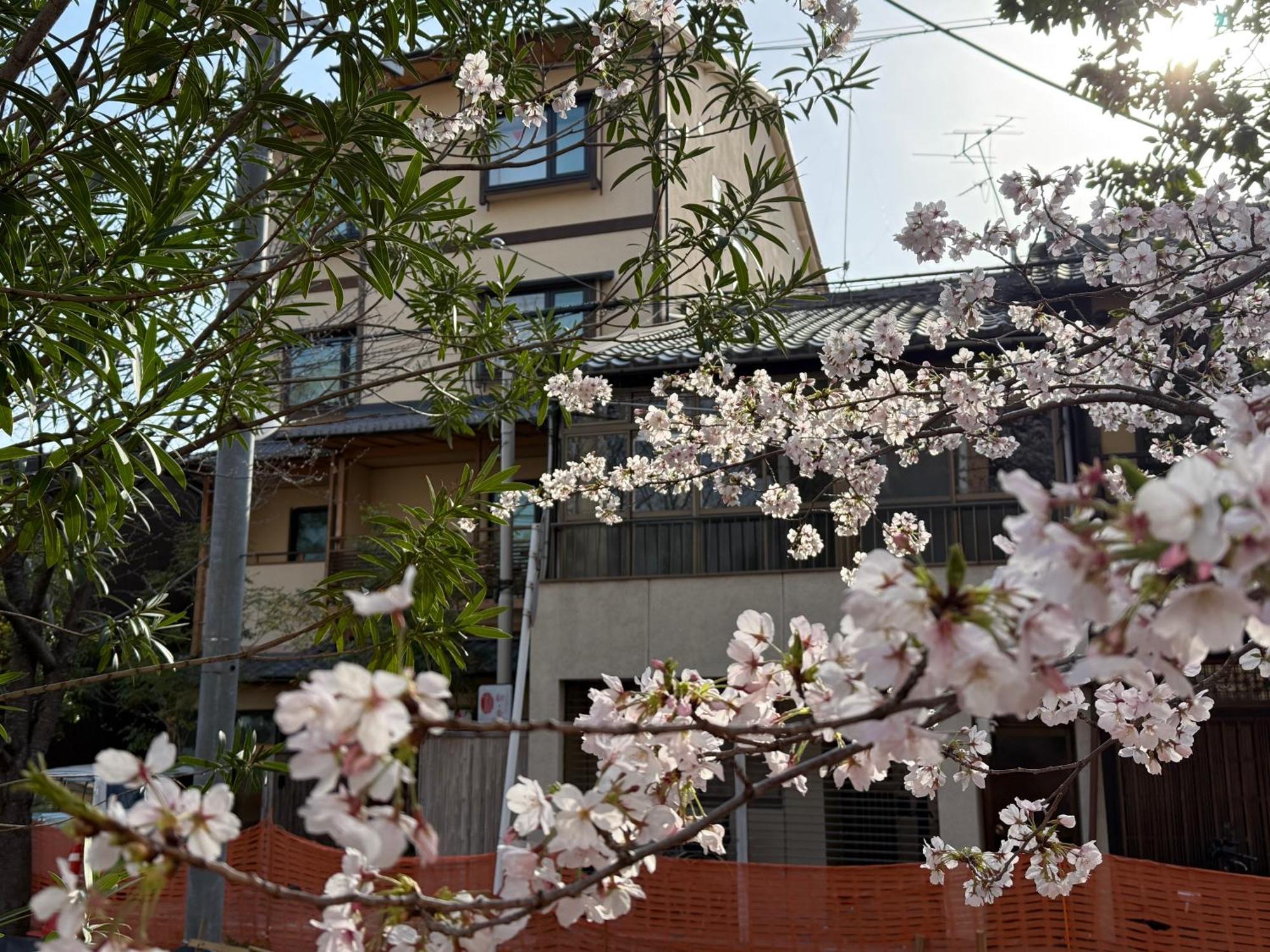 初音 * Kyoto