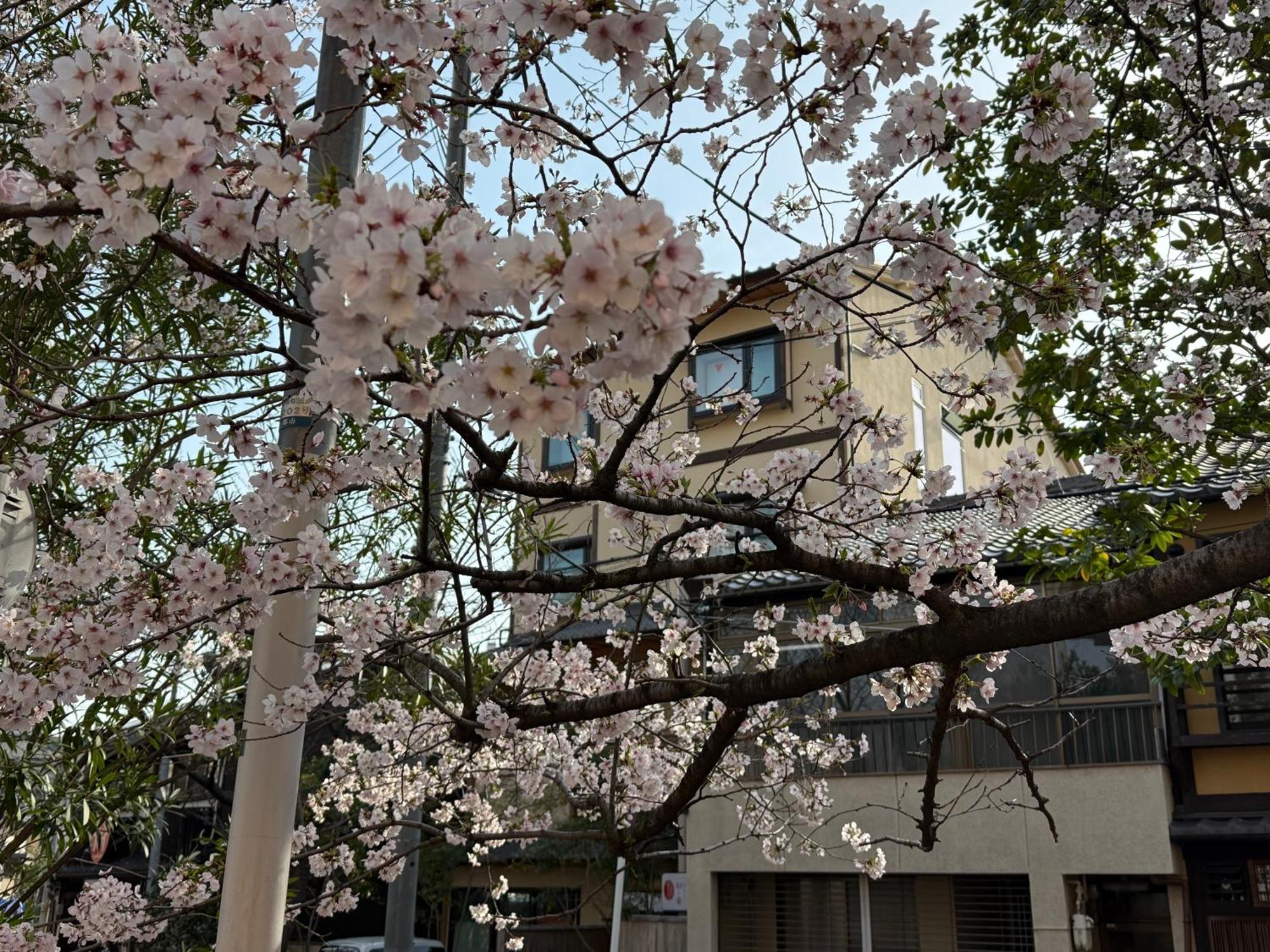 初音 Homestay Kyoto