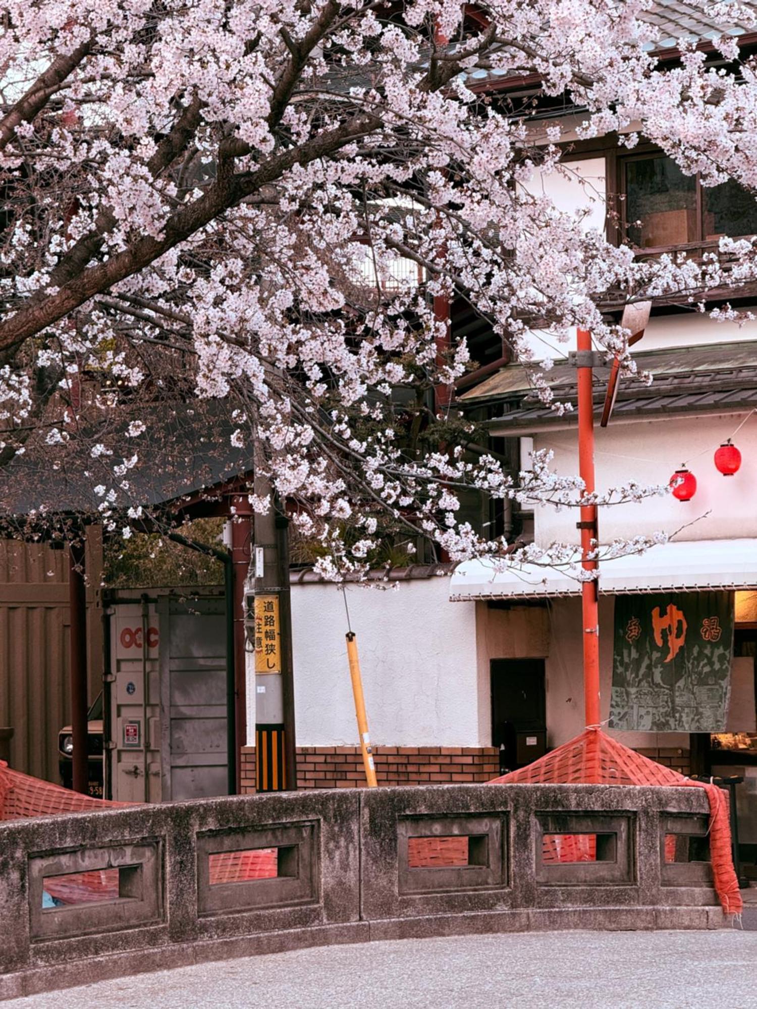 Homestay 初音