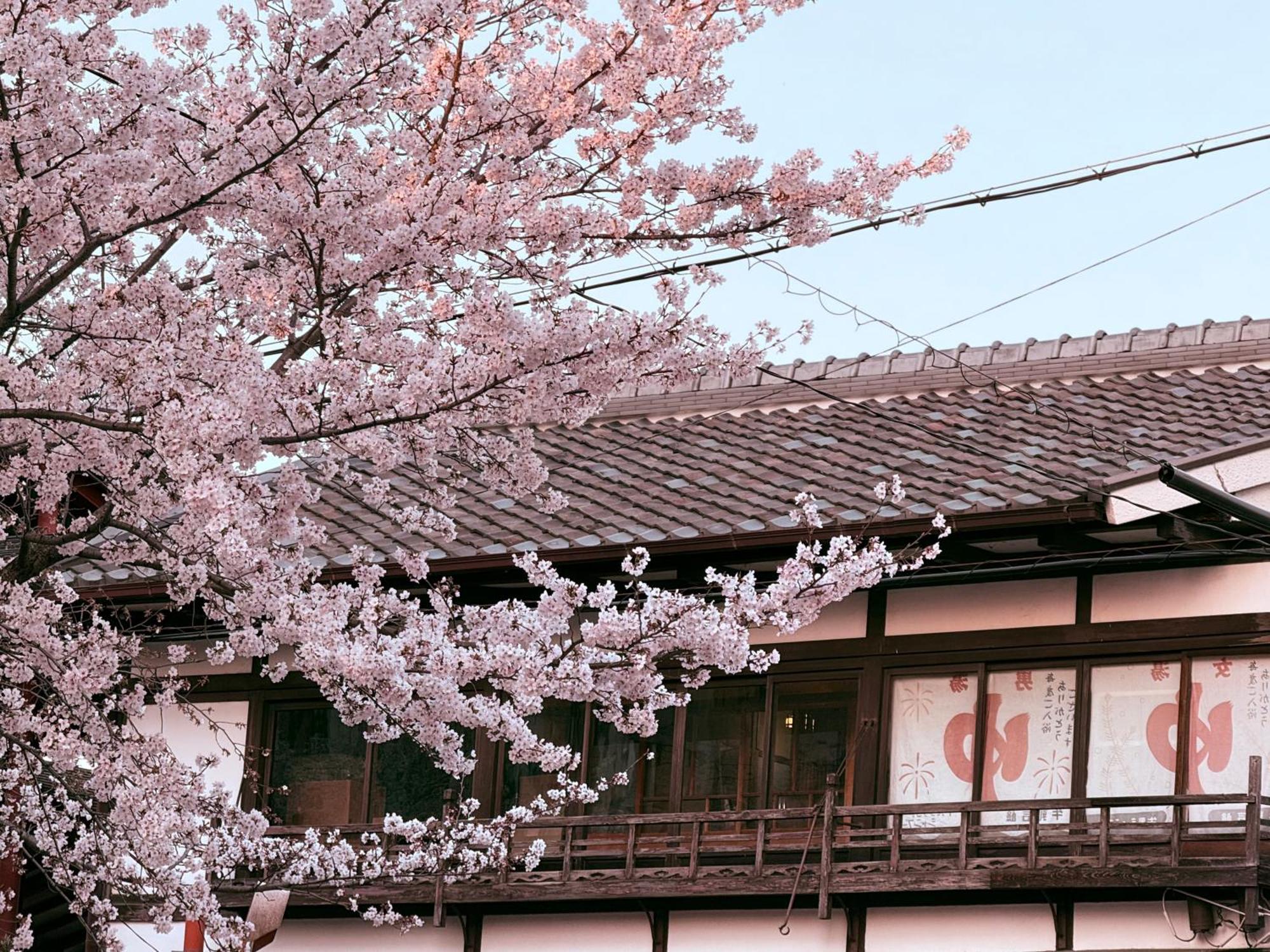 Homestay 初音 *