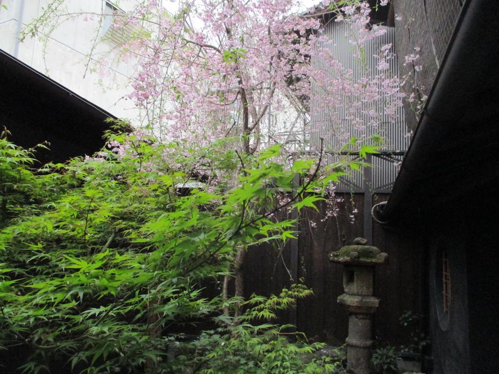 Takeya Kitano Honkan Holiday home Kyoto