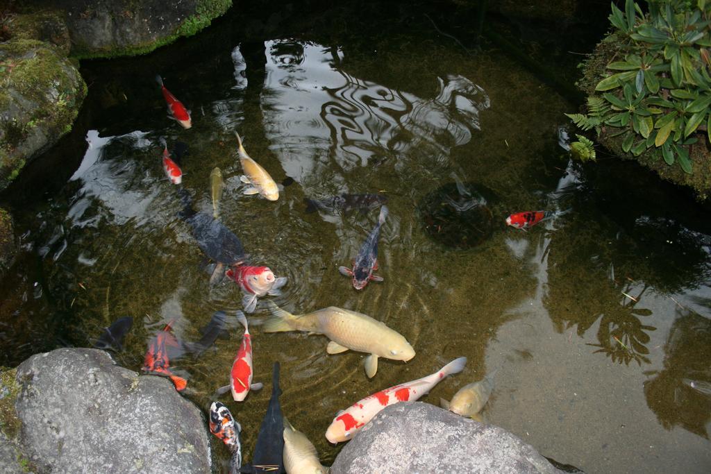 Ryokan Yumoto Onsen Oharasansou Kyoto