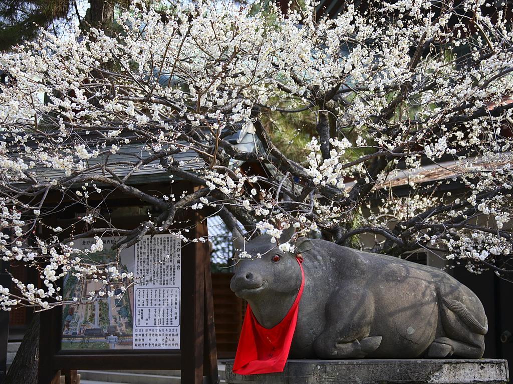 Holiday home Iloha Kyoto