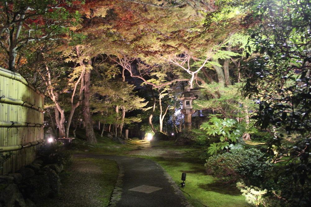 伝心庵 Garden Denshin-an * Kyoto