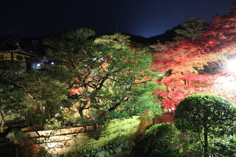 伝心庵 Garden Denshin-an Holiday home *