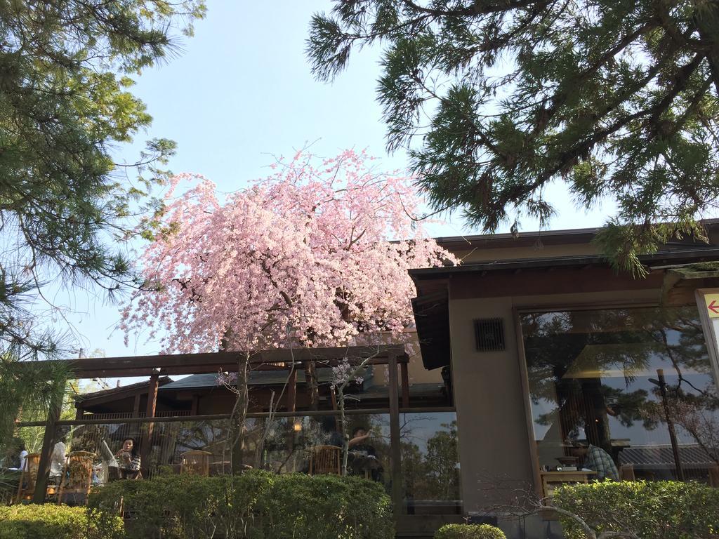 Ryokan Nanzenji Yachiyo Established In 1915 Kyoto