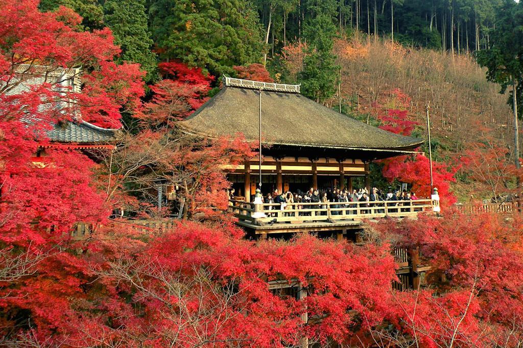 Rin Kinkaku-ji Temple * Kyoto