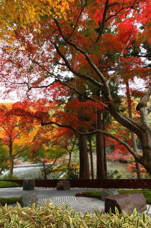 Hotel Hoshinoya Kyoto