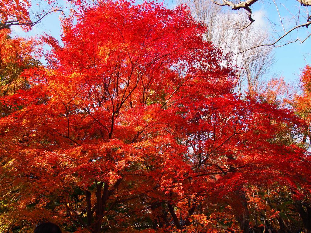 Secondhouse Eiraku Holiday home Kyoto