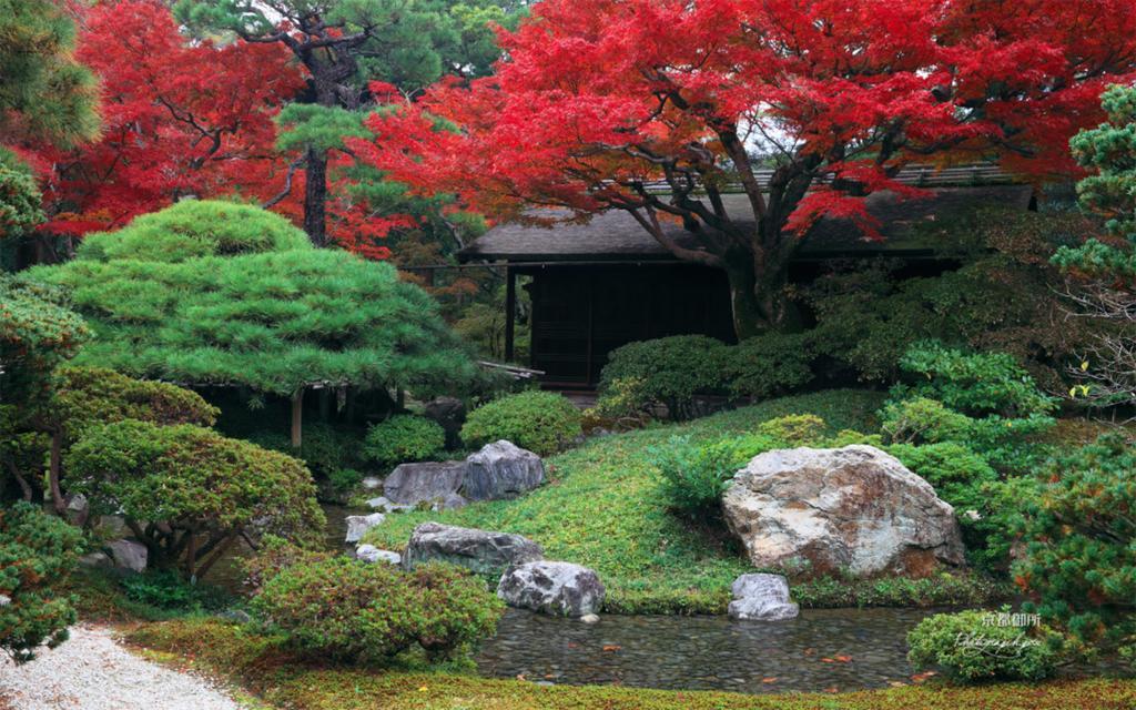 Hidden Shimogamo * Kyoto