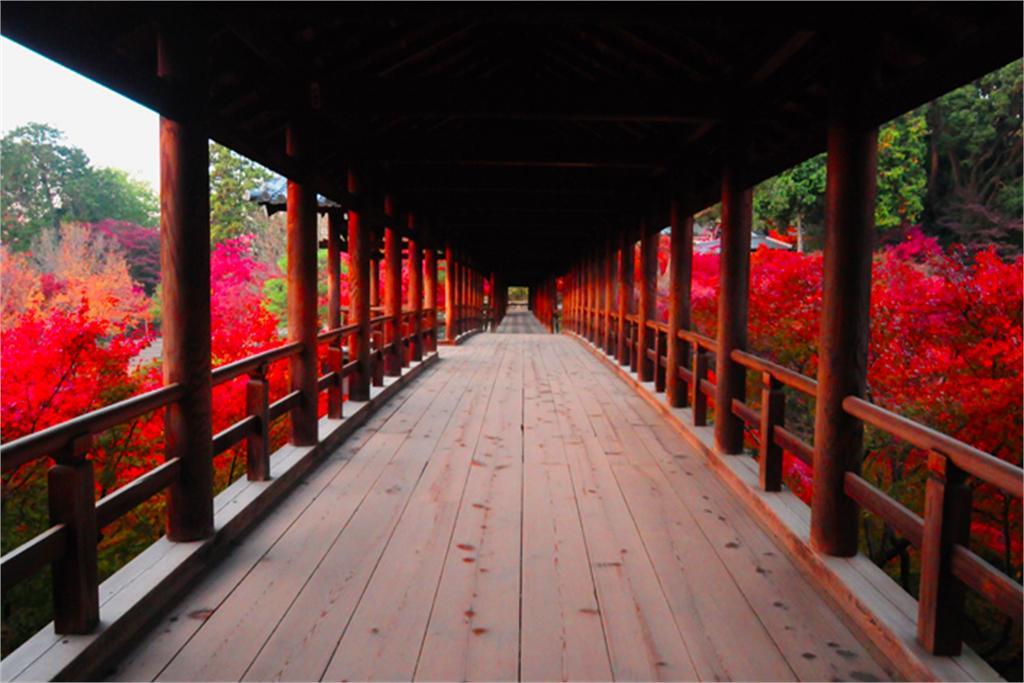 Aotake-an * Kyoto