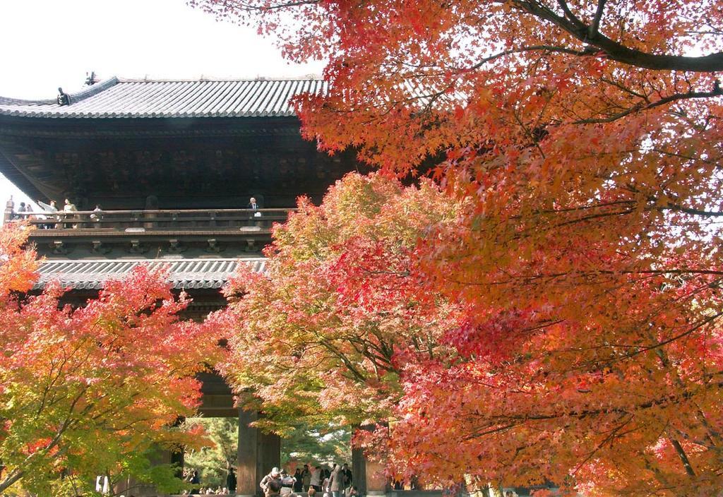 Neneko House *
