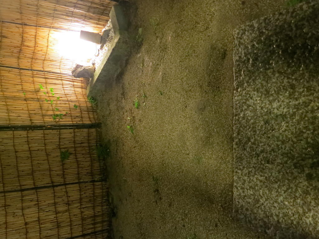 Zen House Holiday home *