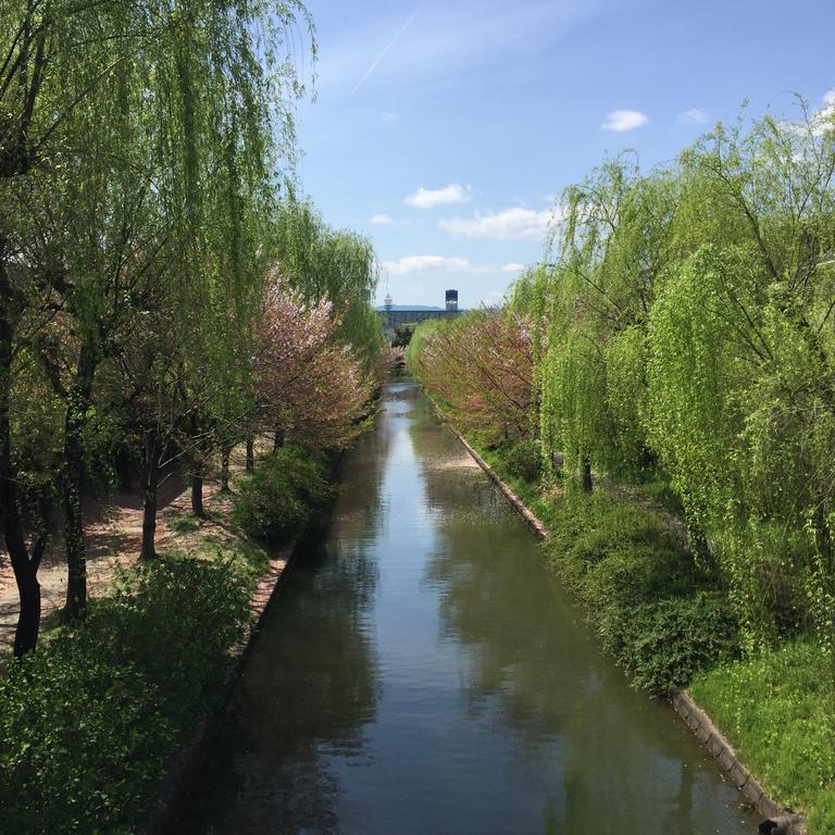 Locokokoro Guest house