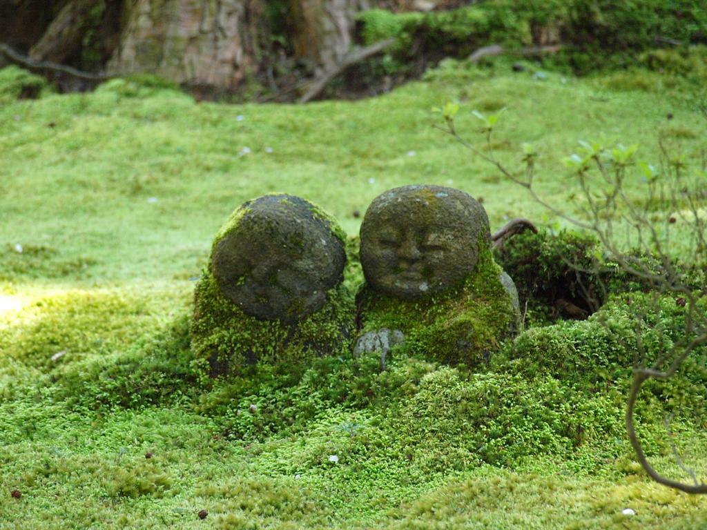 Hotel M's Est Shijo Karasuma Kyoto