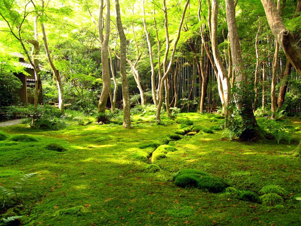 M's Est Shijo Karasuma Hotel Kyoto