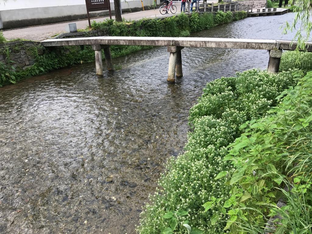 Higashiyama With