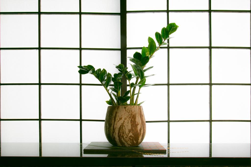 Hosta Nijo Aoi Holiday home