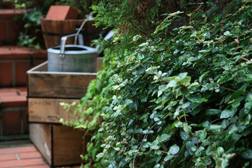 Garden 3*