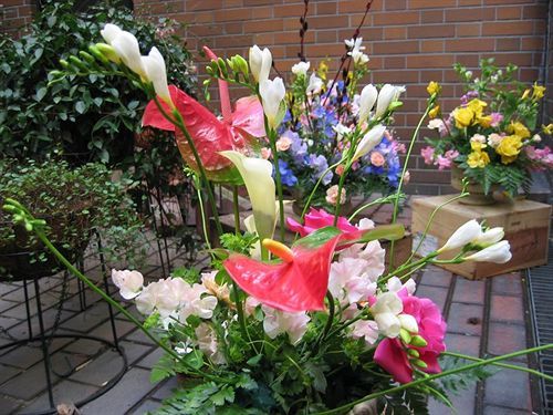 Garden 3*