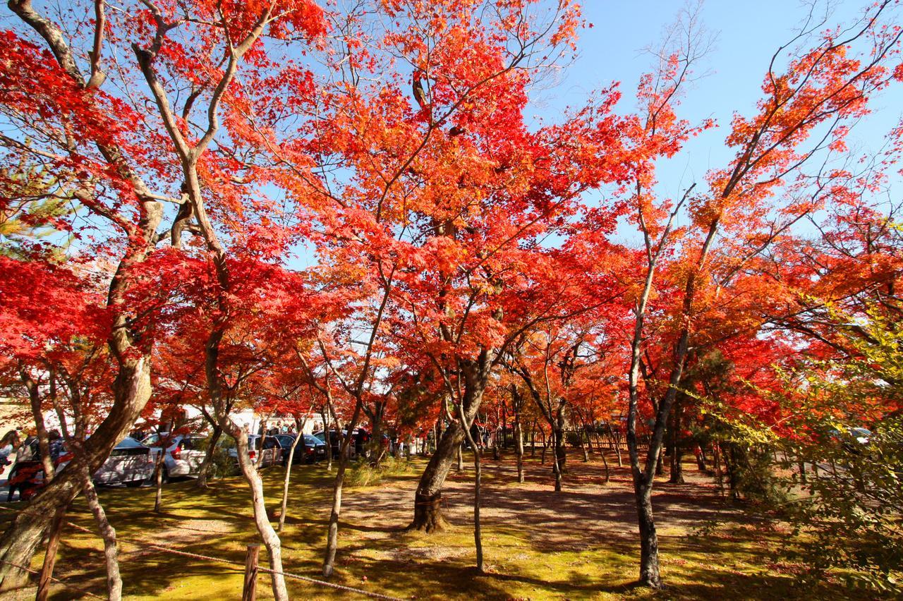 一棟貸切り宿 嵯峨嵐山 Kyoto