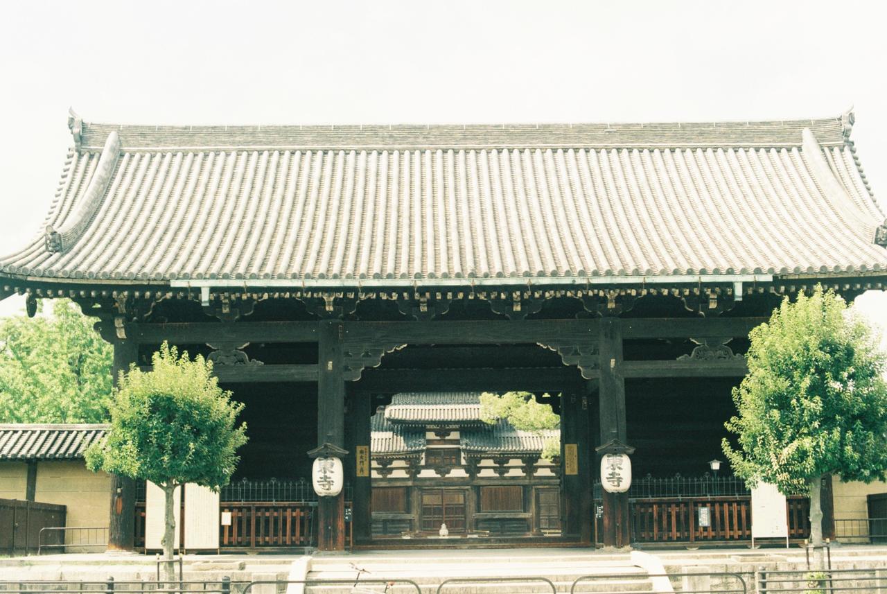 Honodo Cobo