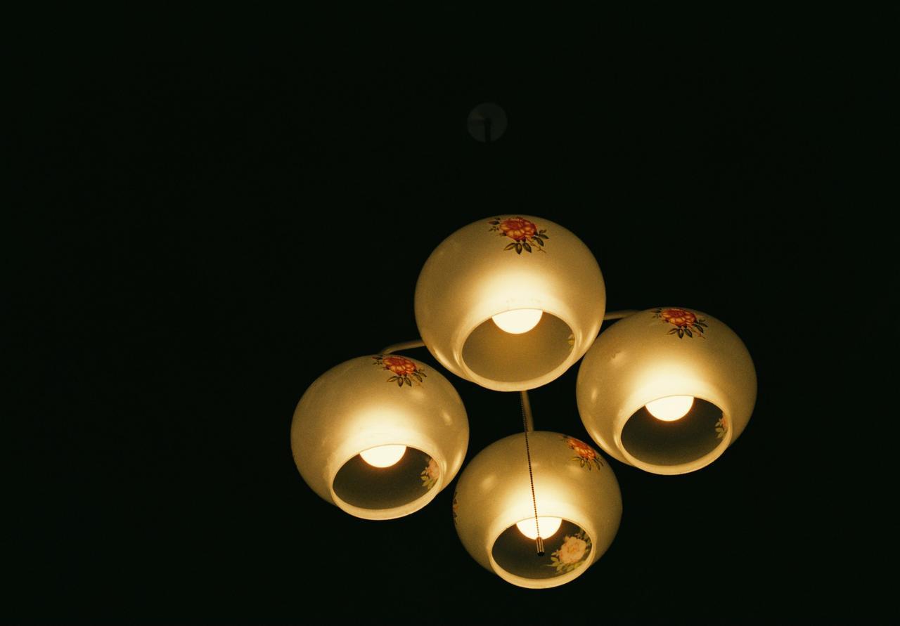 Honodo Cobo * Kyoto