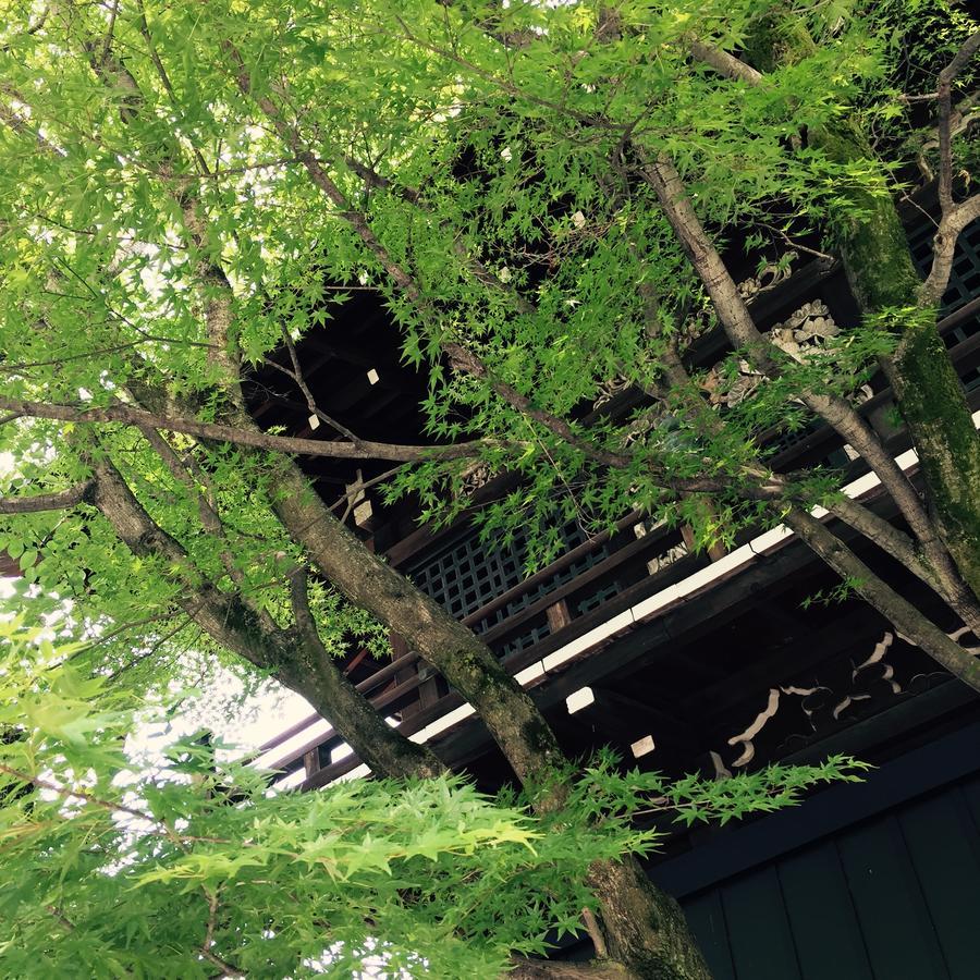 Tabist Kiyomizu Gion 3*