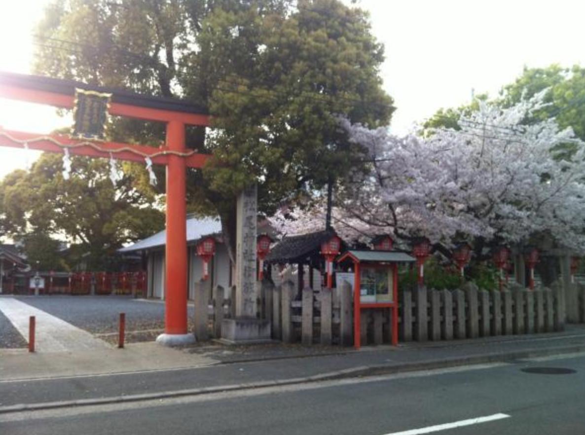 Kyomachiya Real Wabisabi *