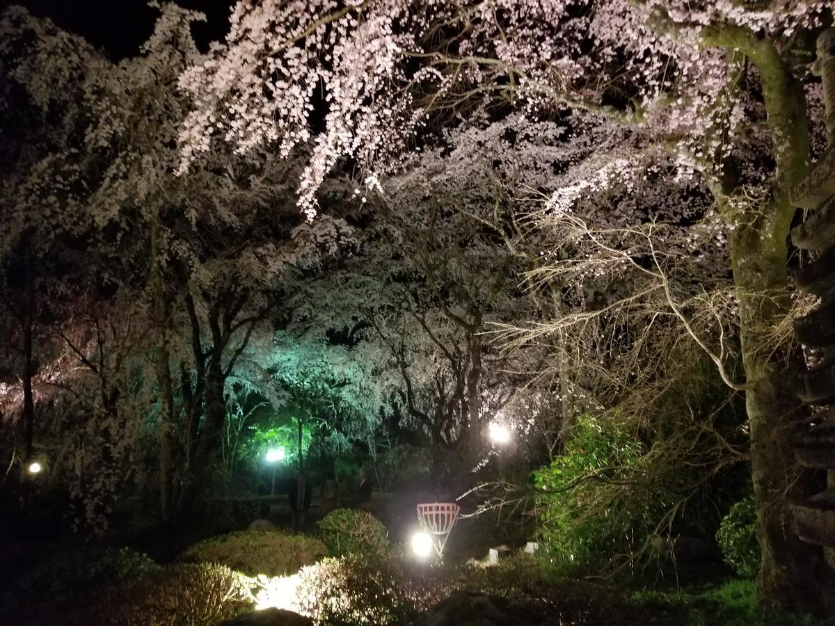 ゲストハウスoneworld Toji東寺 Kyoto